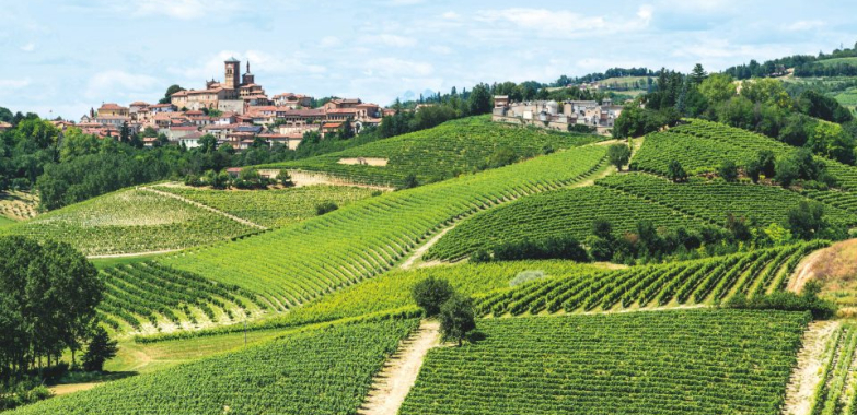Scopri le Langhe in Moto: Un Viaggio Epico tra Cantine e Delizie Gastronomiche