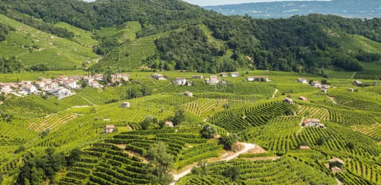 Esplorando in Moto la Valdobbiadene: Itinerari Panoramici e Cantine da Visitare